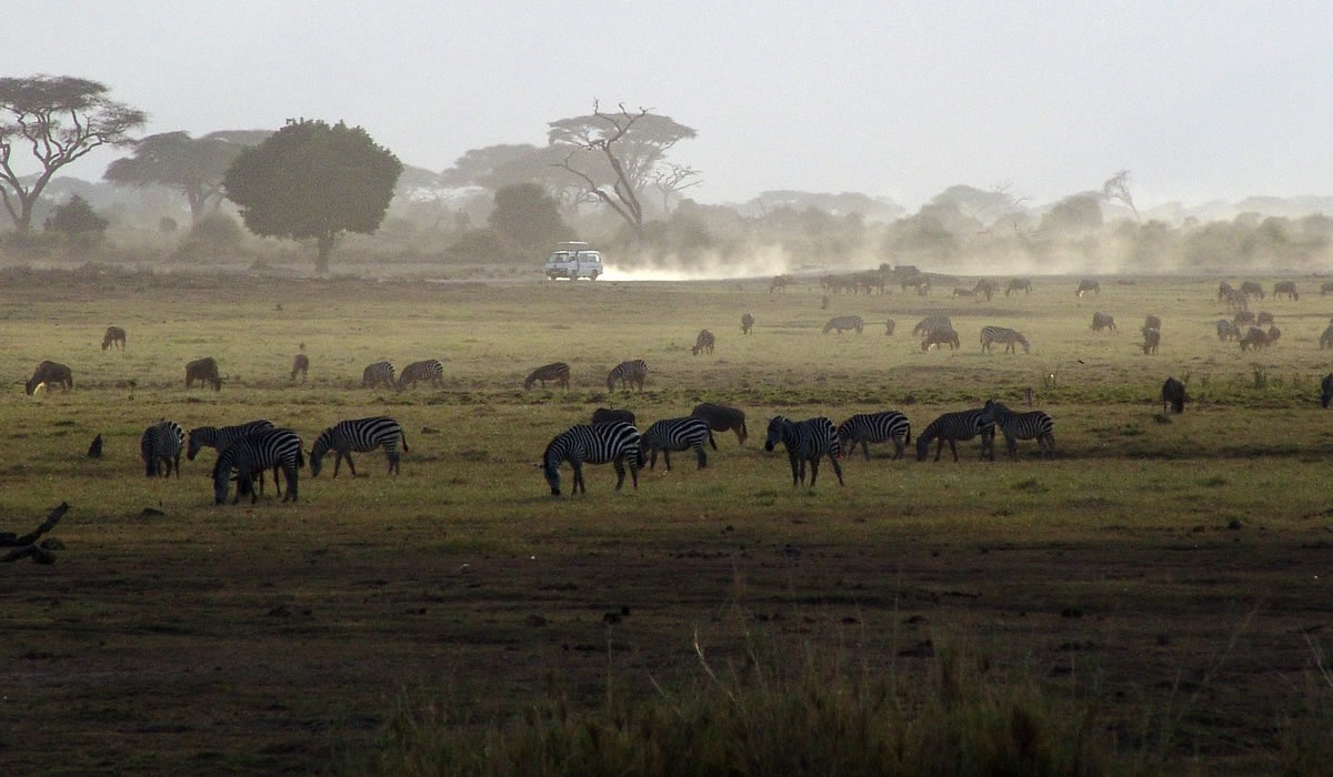8 Days Best of Kenya Wildlife Tour