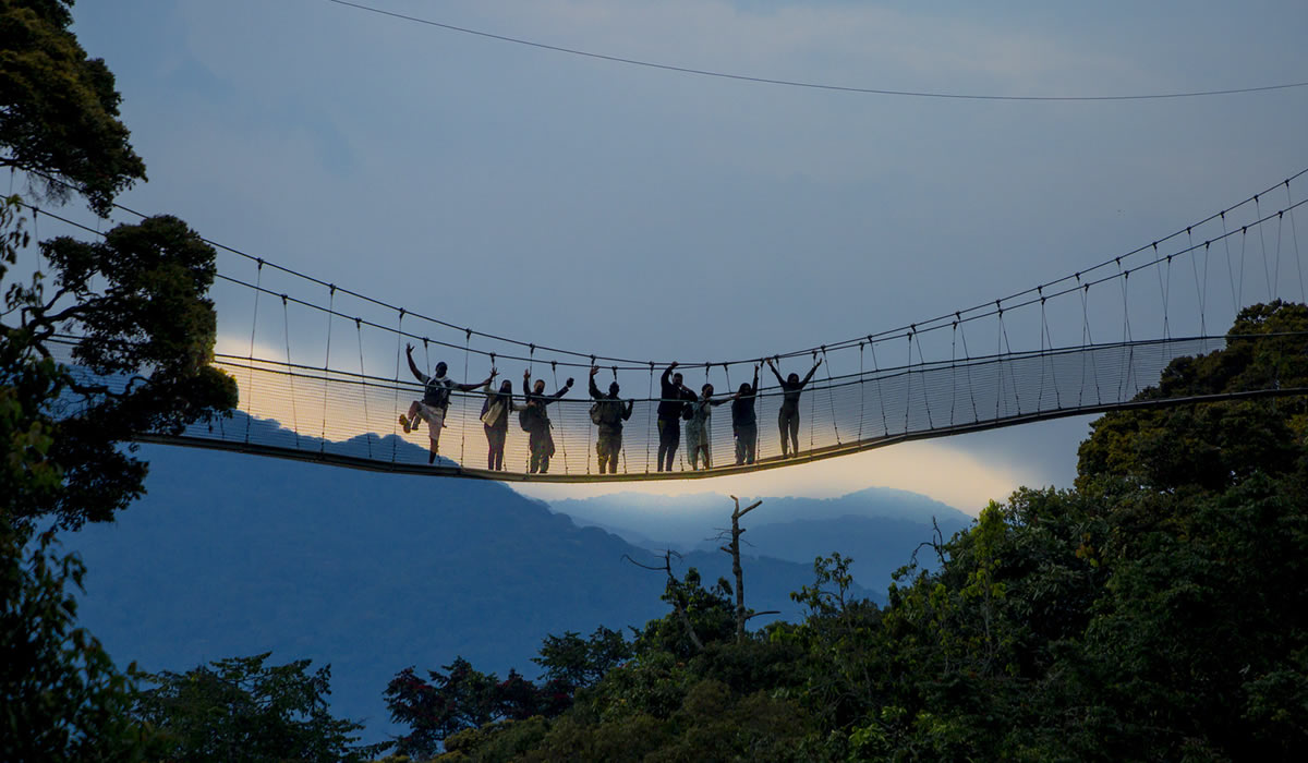 5 Days Rwanda Safari to Nyungwe Forest National Park