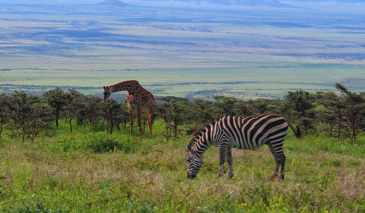 6 Days Tanzania Safari, Tanzania