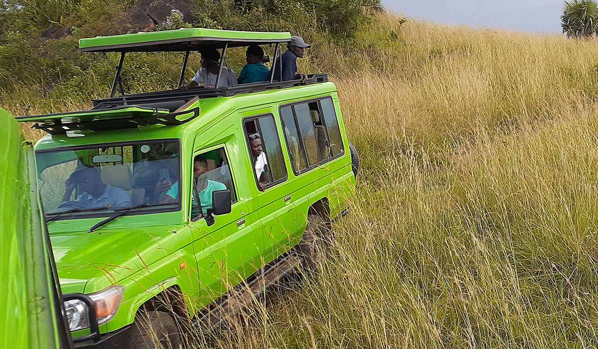 Game Drives in Uganda