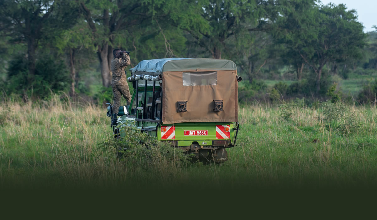 Wildlife Safari Tours in Uganda