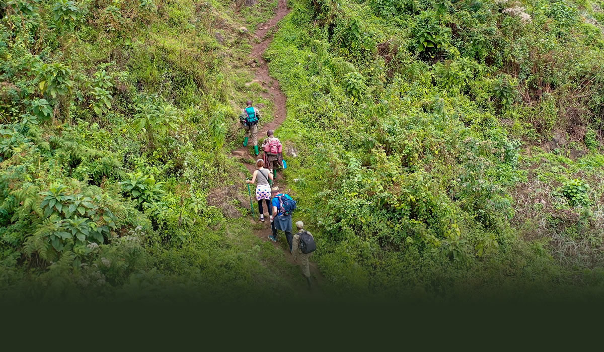 Guided Nature Walks in Uganda