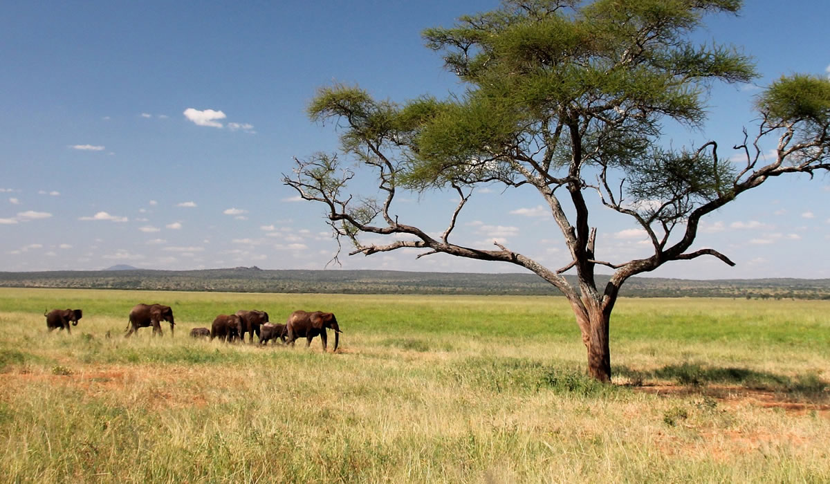 10 Days Tanzania Tour